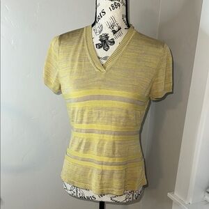 Erdos Sweater Short Sleeve V Neck